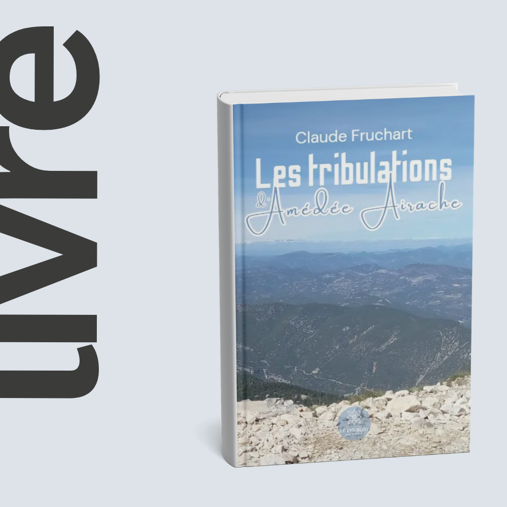 Mockuplivre - grand - Les tribulations d amedee airache - claude fruchart - consultant RH